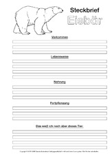 Eisbär-Steckbriefvorlage-sw.pdf